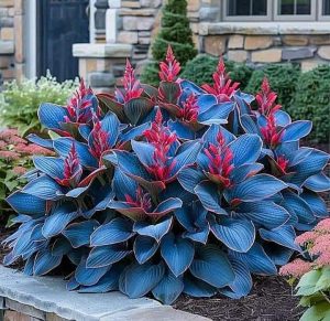 Хоста Грин Фог купить по цене от 669р. в интернет-магазине «Посадика» с доставкой почтой в в Ливные и по всей России – [изображение №1].