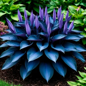 Хоста Сикрет Гров купить по цене от 570р. в интернет-магазине «Посадика» с доставкой почтой в в Ливные и по всей России – [изображение №1].