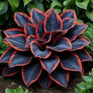 Хоста Солнечный Агат купить по цене от 440р. в интернет-магазине «Посадика» с доставкой почтой в в Ливные и по всей России – [изображение №1].